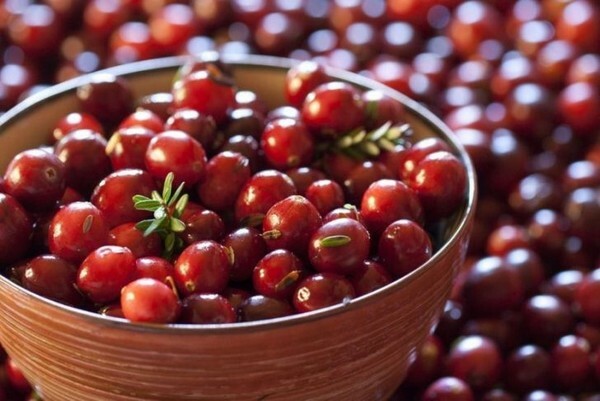 Properties and recipes of masks of cranberries for the skin of the face