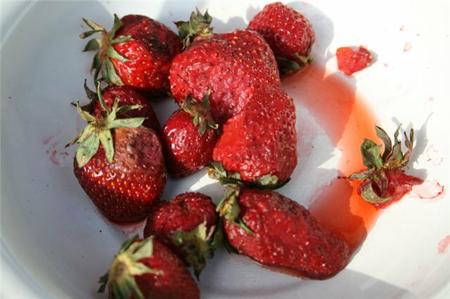Miks nägema unenäos maasikat. Paljud tõlgendused