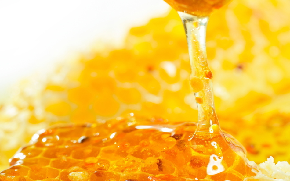 Honning fra hoste og koldt. Behandling af hoste med honning.opskrifter