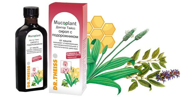 Applicazione di piantaggine con miele in medicina popolare e cosmetologia