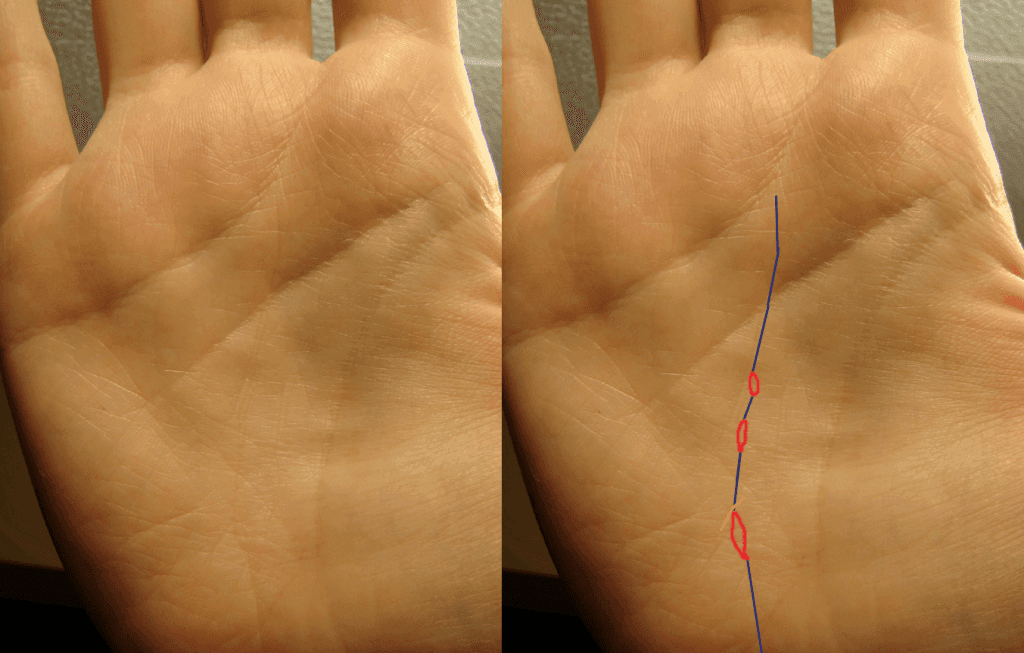 Skæbnen i din håndflade: Hvilket hånd betyder det - foto. Betydningen af ​​krydsninger, brud, bifurcationer, grene, trekant, firkantede, parallelle linjer nær skæbnen i palæstinensien, spådom: dekodning