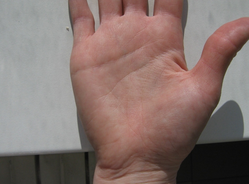 Linka mysle v dlani ruky: čo znamená, na ktorej ruke sa nachádza - fotka. Význam križovatiek, pretrhnutí, rozvetvenia, vetvy, trojuholníky, štvorce, paralelné čiary v blízkosti línie mysle v palmiste, veštenie: dekódovanie