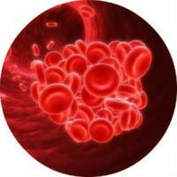Tipos de anemia, sus causas, síntomas y tratamiento