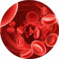 Mažo hemoglobino kiekio kraujyje priežastys, simptomai ir gydymas