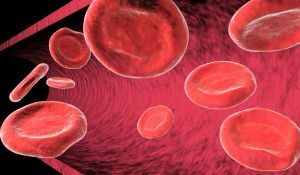 propriétés rhéologiques du sang