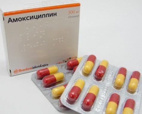 amoxicillin for the treatment of angina