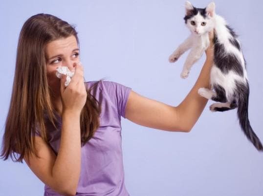 pets from an allergic cough
