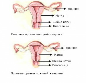 Apa itu postmenopause pada wanita?