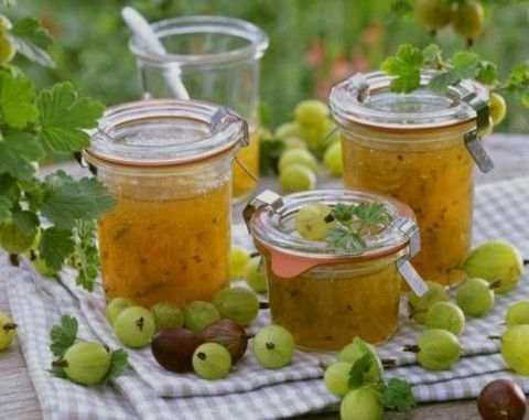 Resep selai yang paling diminati dari gooseberry adalah aroma dan manfaat dari stoples kecil!