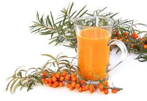 The use of sea buckthorn in the treatment of colds