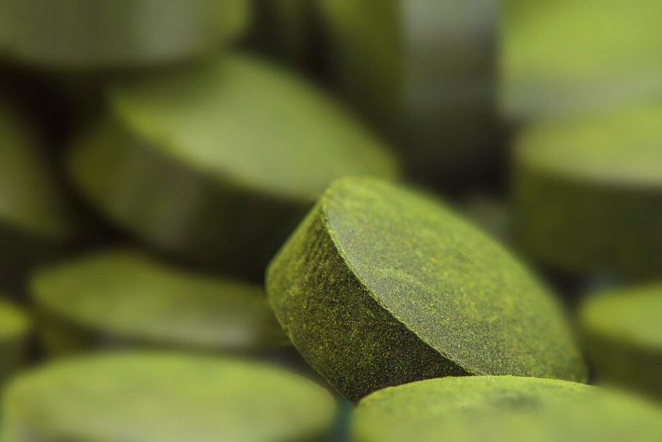 Wat heeft spirulina nodig, wat behandelt het? Hoe neemt u spirulina in met schildklieraandoeningen, psoriasis, diabetes, pancreatitis, bloedarmoede, mastopathie, voor immuniteit, darmen?