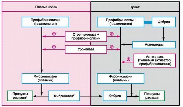 Instruktioner til brug af stoffet Streptokinase