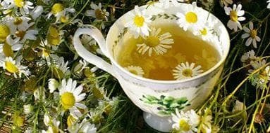 Herbal collection of chamomile for cleaning the ears
