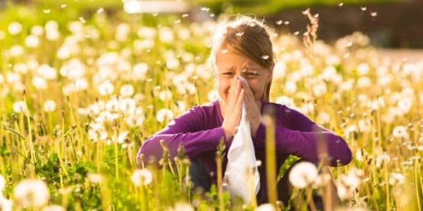 The most effective sprays from an allergic rhinitis: a complete list