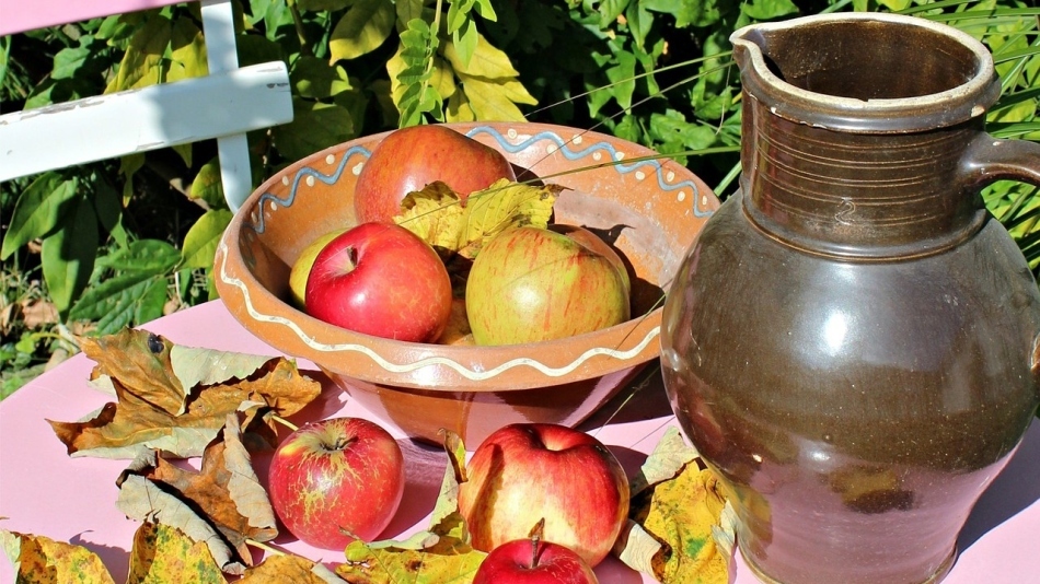 Wijn uit appels thuis: een eenvoudig recept. Hoe maak je heerlijke halfzoete, droge en versterkte appelwijnen van groene en wilde appels thuis?