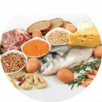 Yang menyangkut makanan protein - daftar produk tumbuhan dan hewan