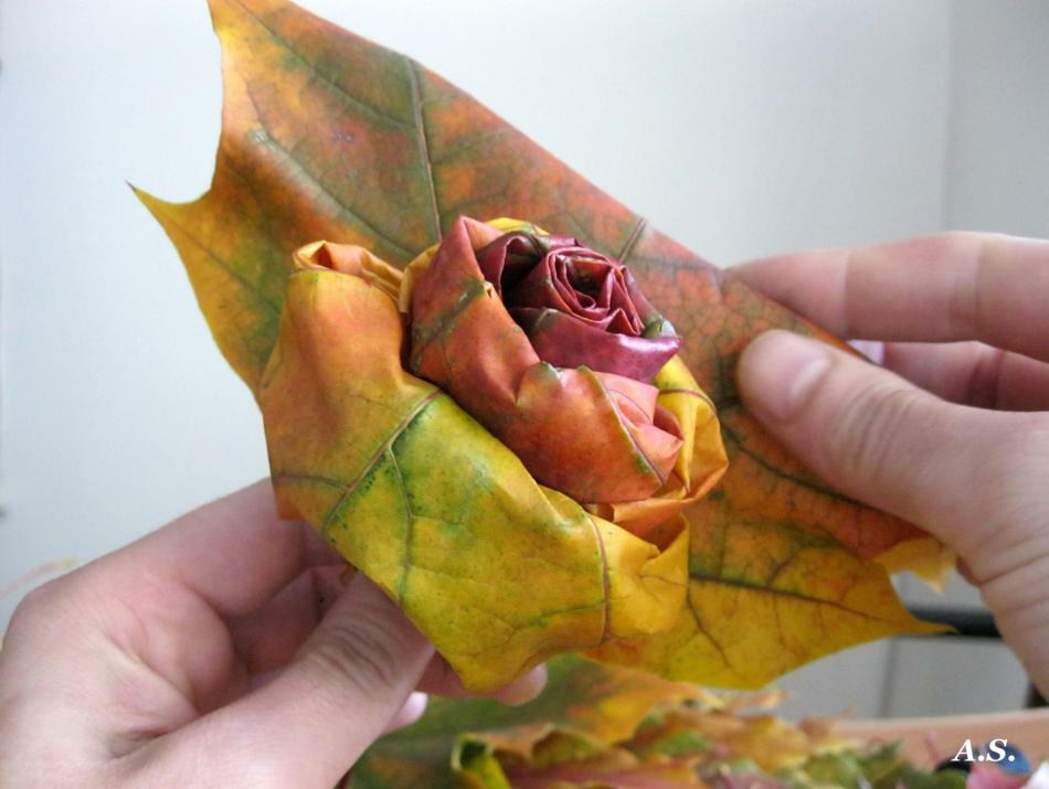 Rozen en bloemen van esdoornbladeren met hun eigen handen stap voor stap: masterclass. Ambachten - boeketten van bloemen en rozen van de herfstesdoornbladeren: foto