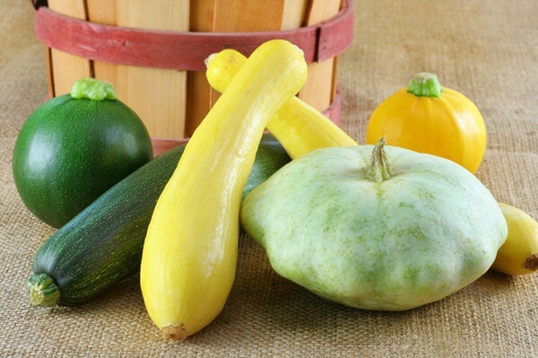 Semua cara untuk membekukan zucchini untuk musim dingin