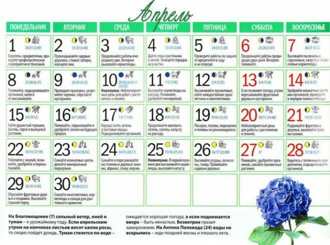 В какое время можно садить. Лунный календарь. Календарь садовода. Когда в апреле можно сеять цветы. Суббота посадочный день.