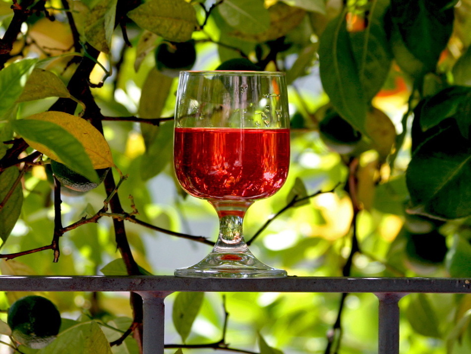 Alkoholische Getränke aus roten Viburnum Beeren - hausgemachter Wein ...