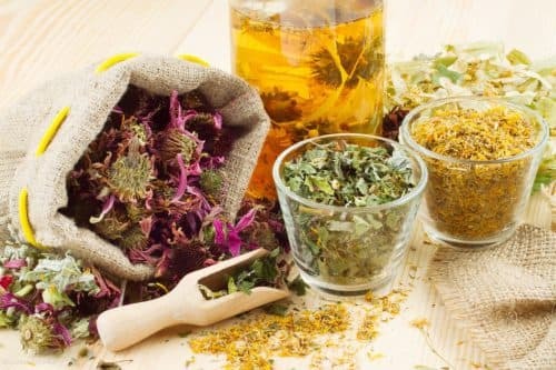 herbal decoctions