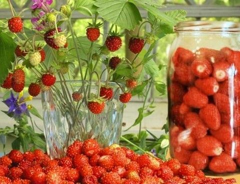 Strawberry kompot - lezat, wangi dan sangat bermanfaat!