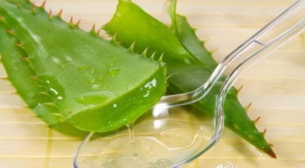 suco de aloe para tratamento de garganta