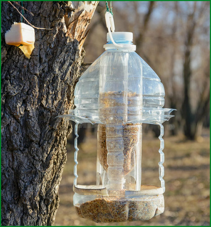 Krmítka ptáků pro ptáky z plastových lahví s vlastními rukama: nápady .