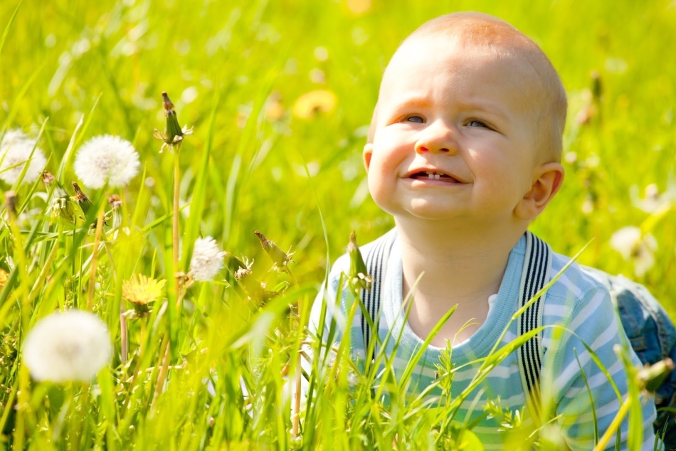 Lente-avitaminose. Hoe voorraden van vitamine A, B, C, D, PP aan te vullen?