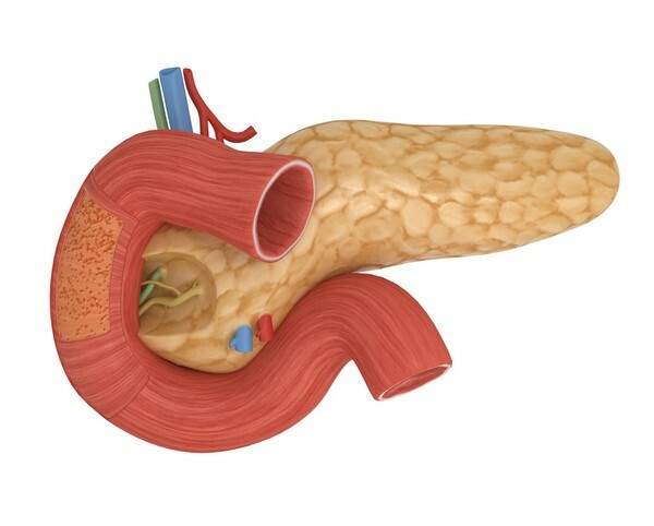 Mel com tratamento com pâncreas - tudo sobre a terapia da pancreatite