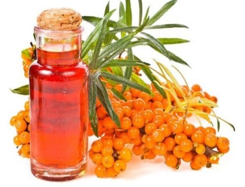 sea ​​buckthorn oil