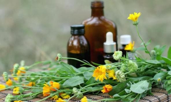 decoctions of medicinal herbs with a cold
