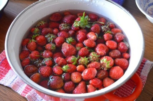Strawberry untuk anak-anak, hamil, menyusui. Kapan dan berapa banyak yang dapat Anda?