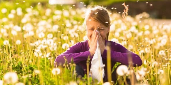 Varför försvann min luktsinne med en förkylning, och vad ska jag göra?