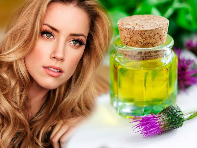 Burdock oil dari rambut rontok dan untuk pertumbuhan rambut