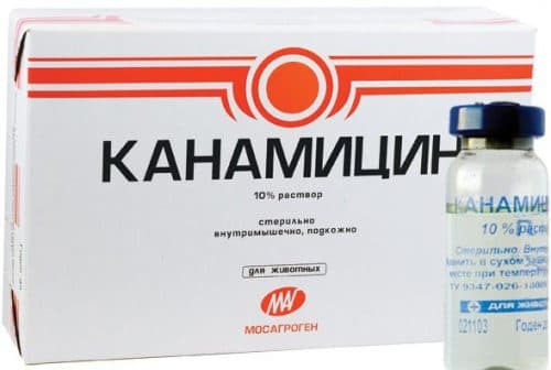 kanamycin