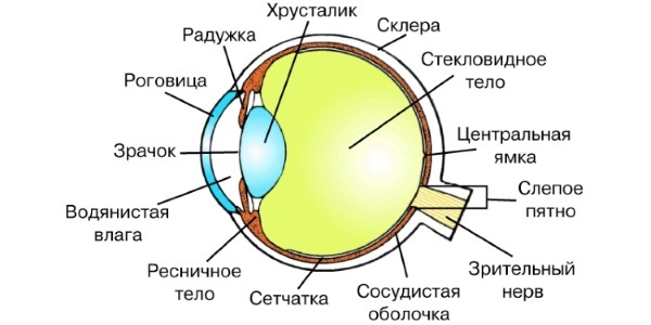 Por que o cisto aparece nos olhos e o que devo fazer?