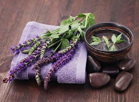 Sage, tapi bukan obat, dan padang rumput!