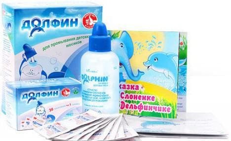 Dolphin for children
