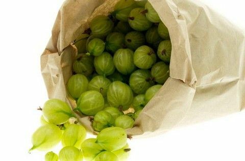 Bagaimana cara menyiapkan jus dari gooseberry di rumah?