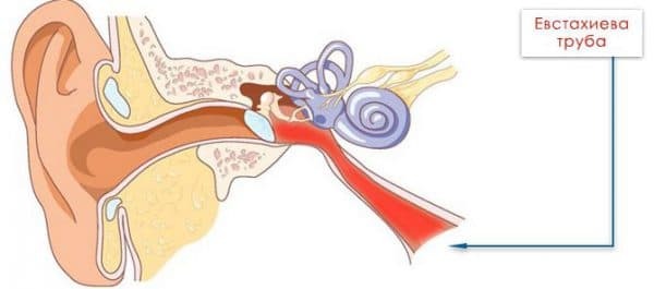 Constante otitis en ontsteking van de buis van Eustachius