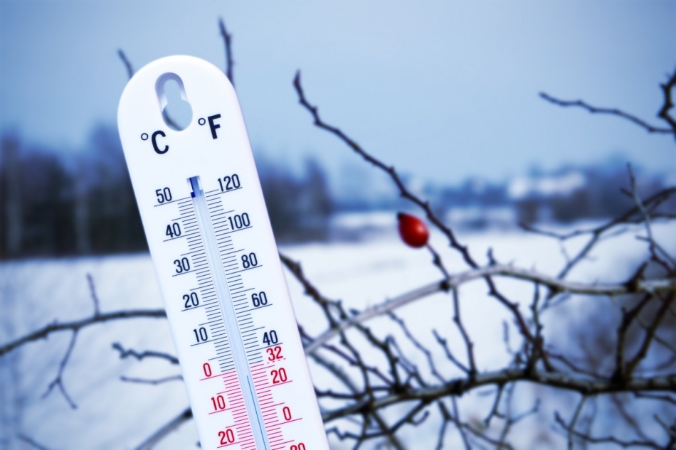 Kui Vene Föderatsioonis asuvates korterites on küte sisse ja välja lülitatud, millise keskmise päevase õhuvoolu temperatuuri juures? Vene Föderatsiooni kütteperioodi alguses ja lõpus. Ei hõlmas korteri kütmist: kuhu minna, kaebama, helista?