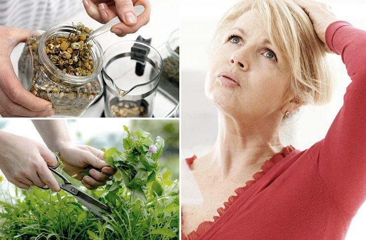 Hot flashes with menopause treatment with folk remedies (at home): recipes