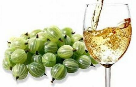 Tingtur gooseberry pada vodka: minuman untuk pesta menyenangkan