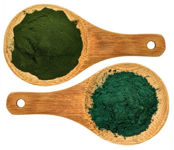 Uma chlorella pequena mas muito útil