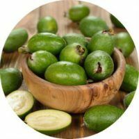 Feijoa - hoe nuttig en voor wie het gecontra-indiceerd is