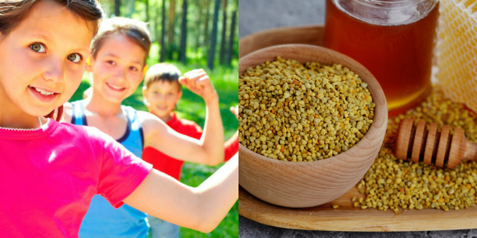 What treats flower bee pollen? Recipes of application in folk medicine and cosmetology, useful properties and contraindications, chemical composition and vitamins of bee pollen