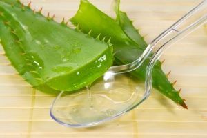 O suco de aloe alivia ansiedade, cortes, feridas e queimaduras são tratadas!