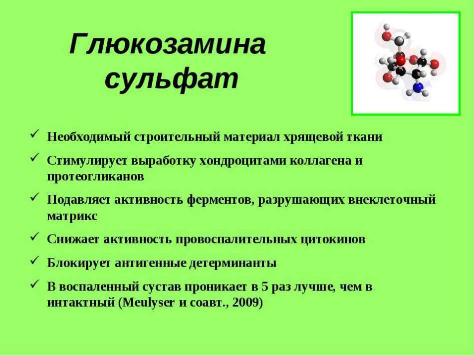 Paruošimas - Gliukozamino sulfatas: naudojimo instrukcijos. Gliukozaminas sąnariui