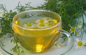 decoction of chamomile flowers